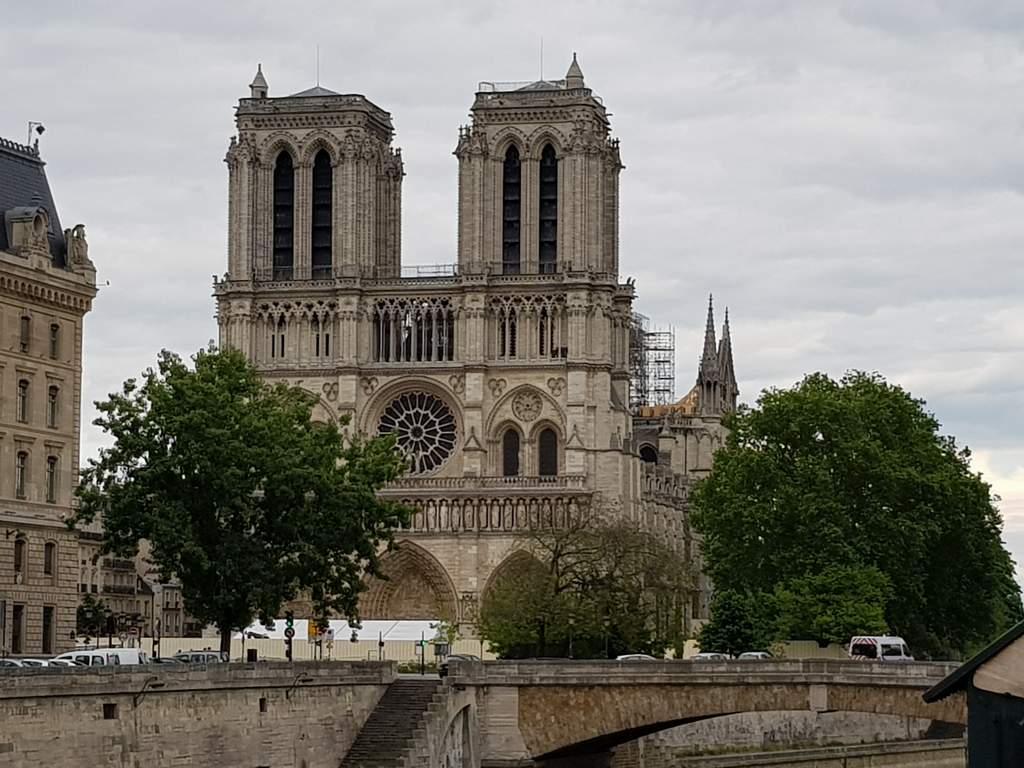 Notre dame de Paris - Page 10 20190510