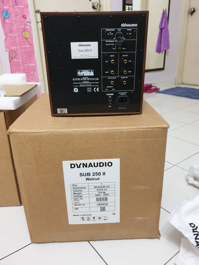 Dynaudio Sub250 ll subwoofer (sold)  Img-2070