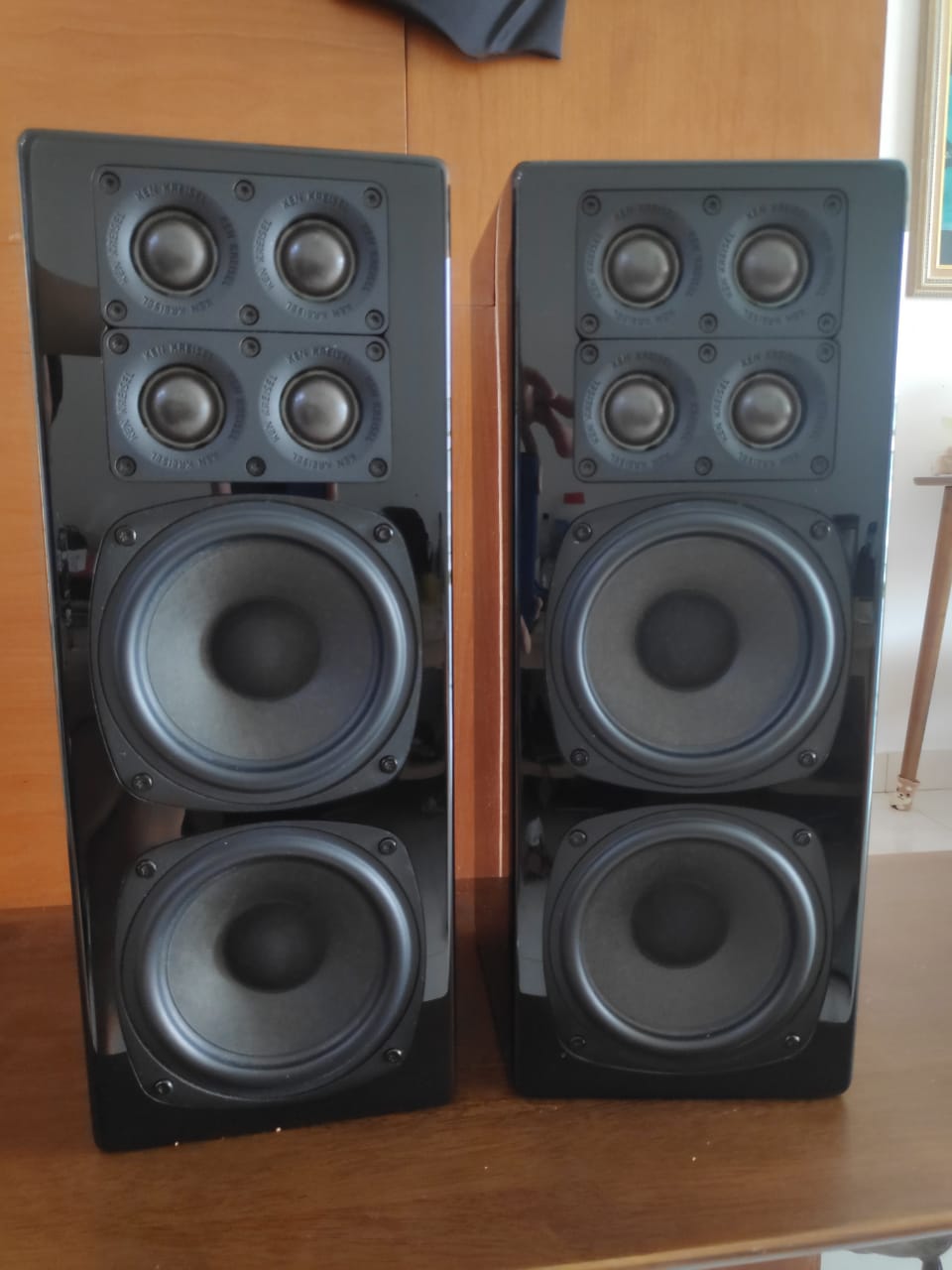 Ken kreisel quattro 5.0 speakers (sold) Img-2214