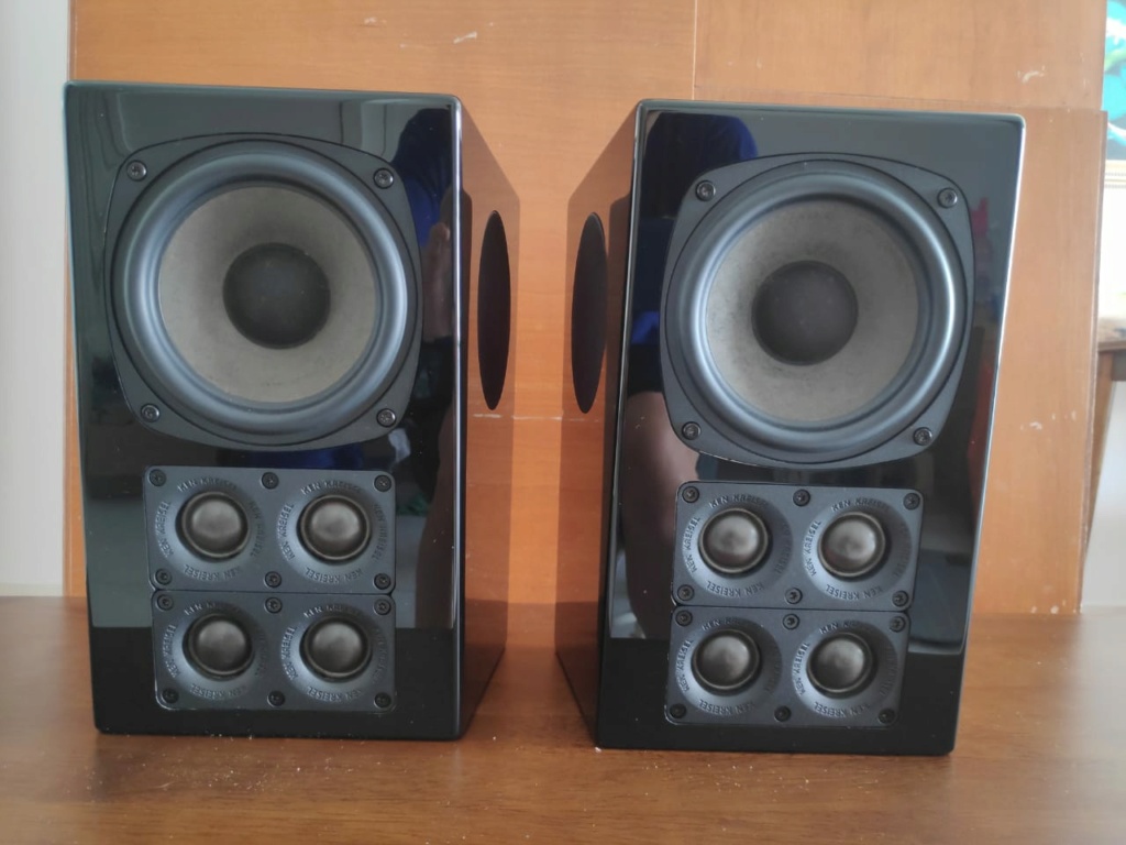 Ken kreisel quattro 5.0 speakers (sold) Img-2215