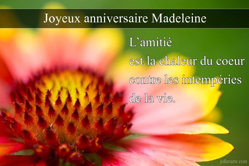 Joyeux Anniversaire MADELEINE ! ★★ 2 Novembre ★★ Madele10