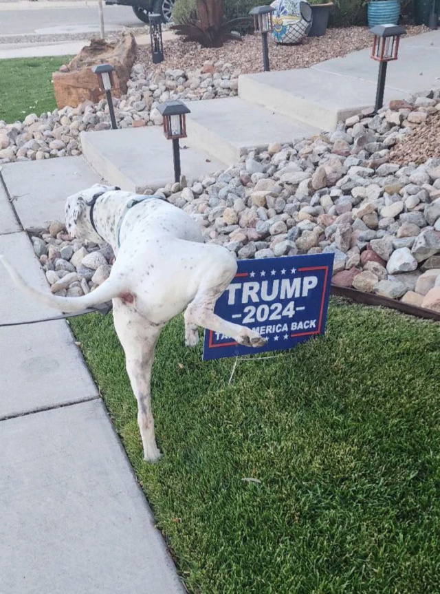 Trump rally Img_0125