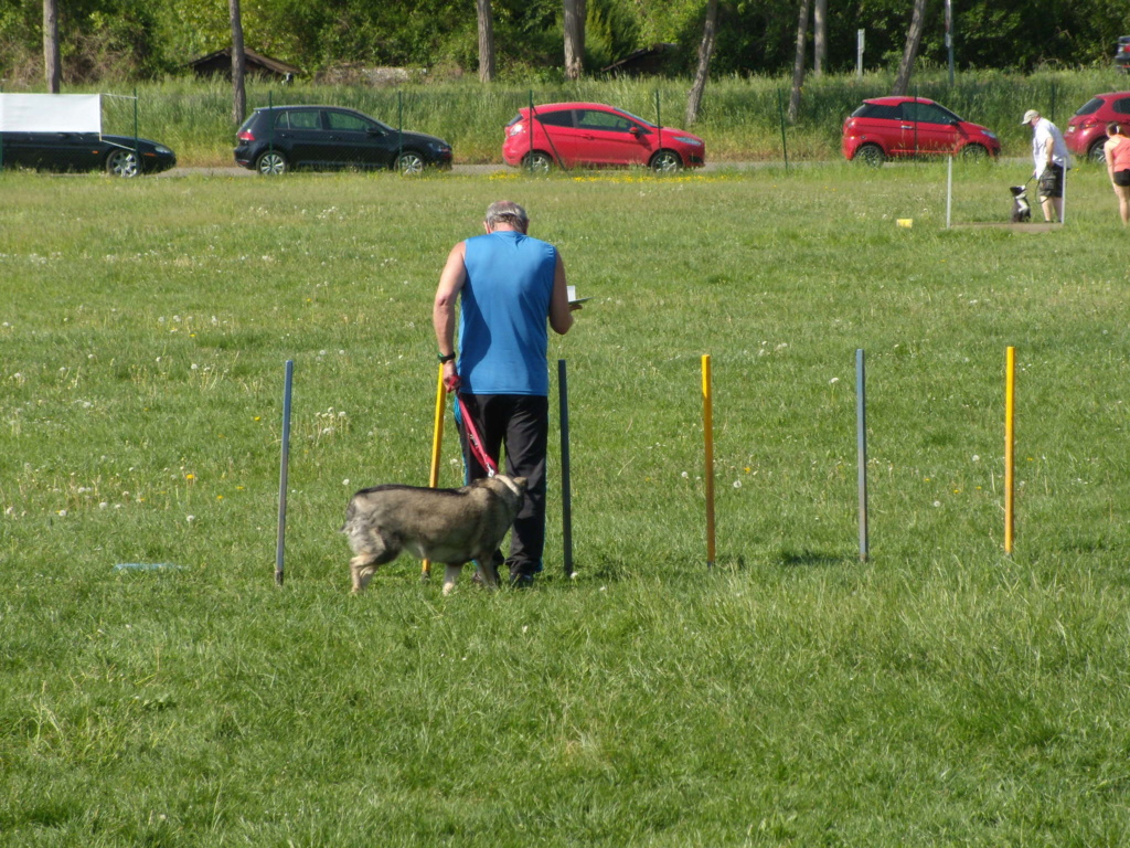 ABBY, chiot femelle, née en août 2015 (Pascani) - REMEMBER ME LAND - adoptée par Elisabeth (dépt 67)  - Page 3 Dscn3511