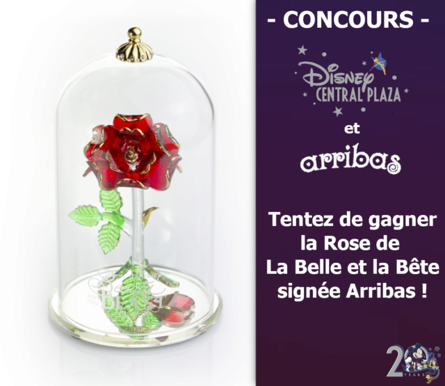 CONCOURS : Tentez de gagner une Rose La Belle et la Bête signée Arribas ! Concou12
