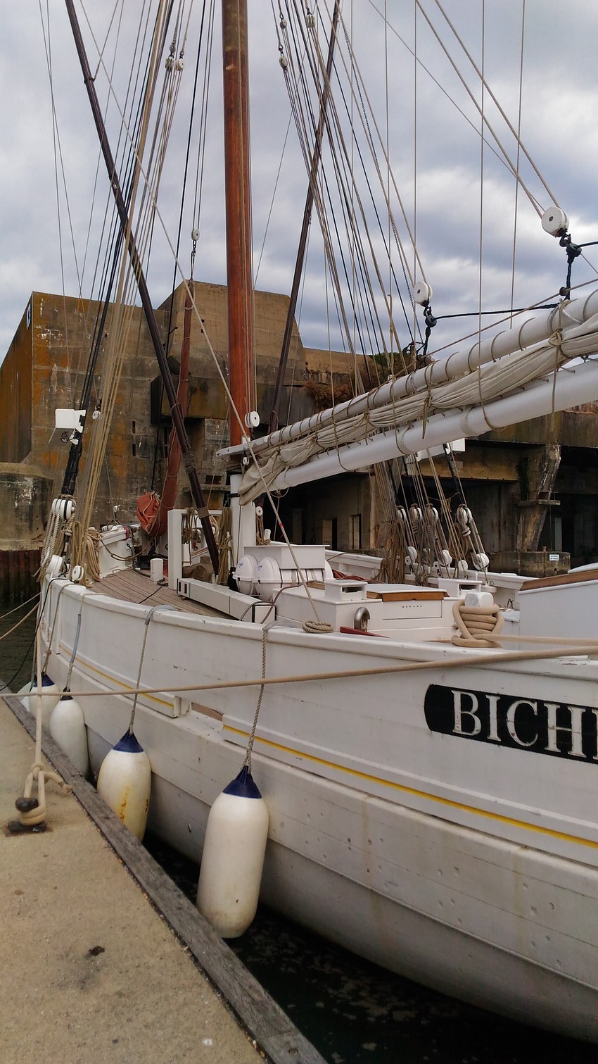 La "BICHE" thonier à Lorient 213