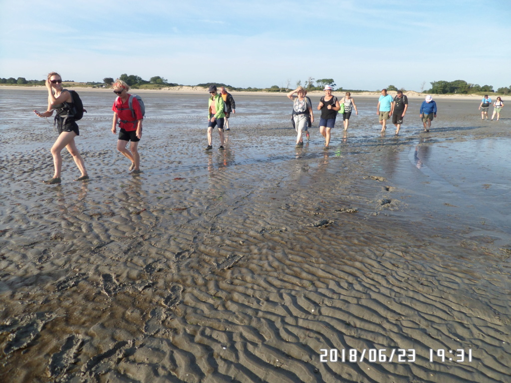 Sortie au Mont Saint Michel Sam_4410