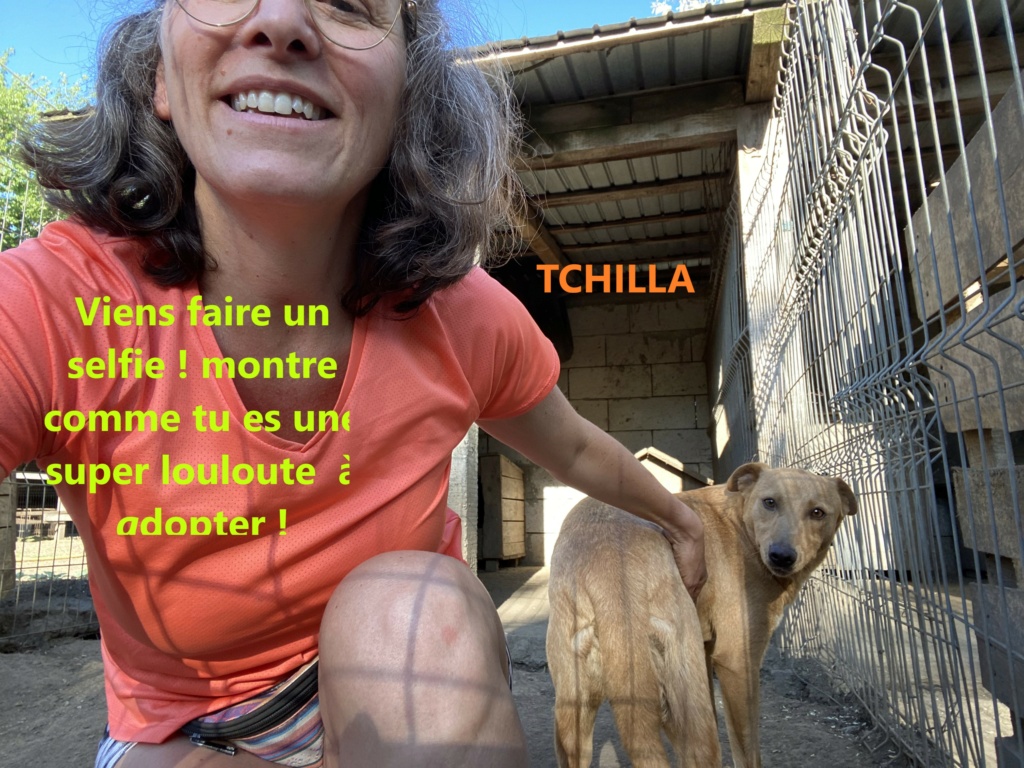 TCHILLA, née le 17/11/2019, sortie de l'équarrissage- parrainée par Elda -R-SC Tchill14