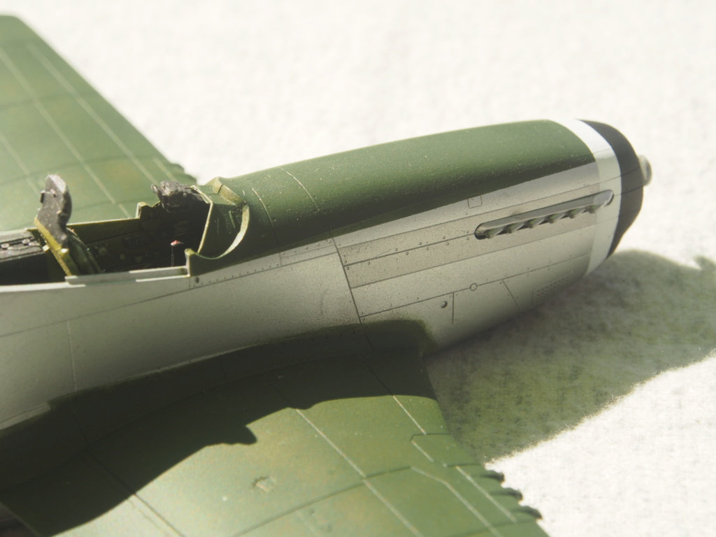 P 51 D Hasegawa 1/48 P1010037