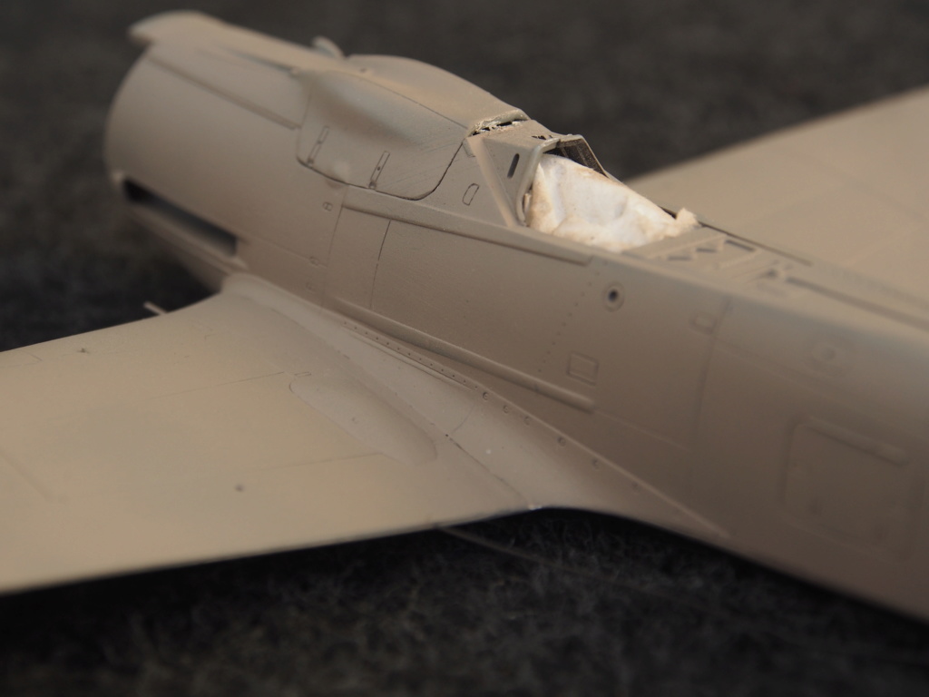 [Concours " L’Aviation Russe"] FW 190 D 9 - Tamiya - 1/48  - Page 2 P1010140