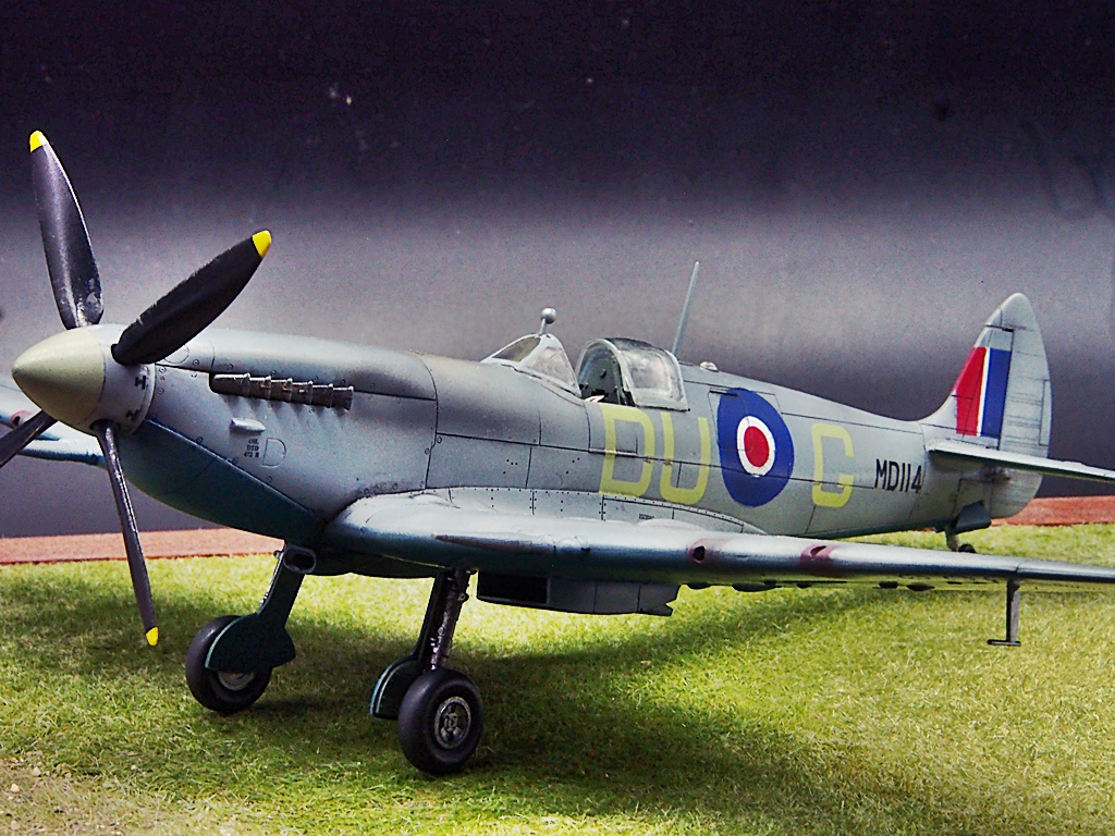 Spitfire MK VIII 1/48 Hasegawa Spit_910