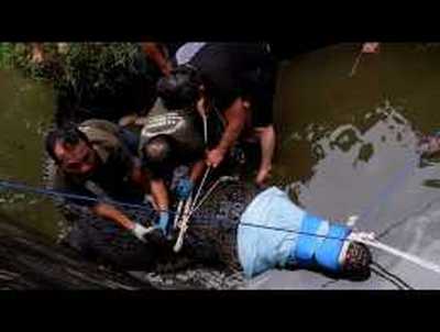 Une Indonésienne est morte déchiquetée par un crocodile 0a1_0b11