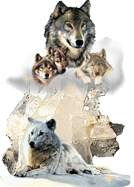 un petit clic pour les animaux - Page 9 Animau17