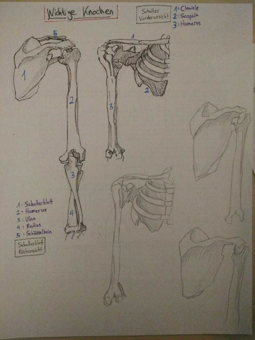 Faimi's Sketchbook Img_2014