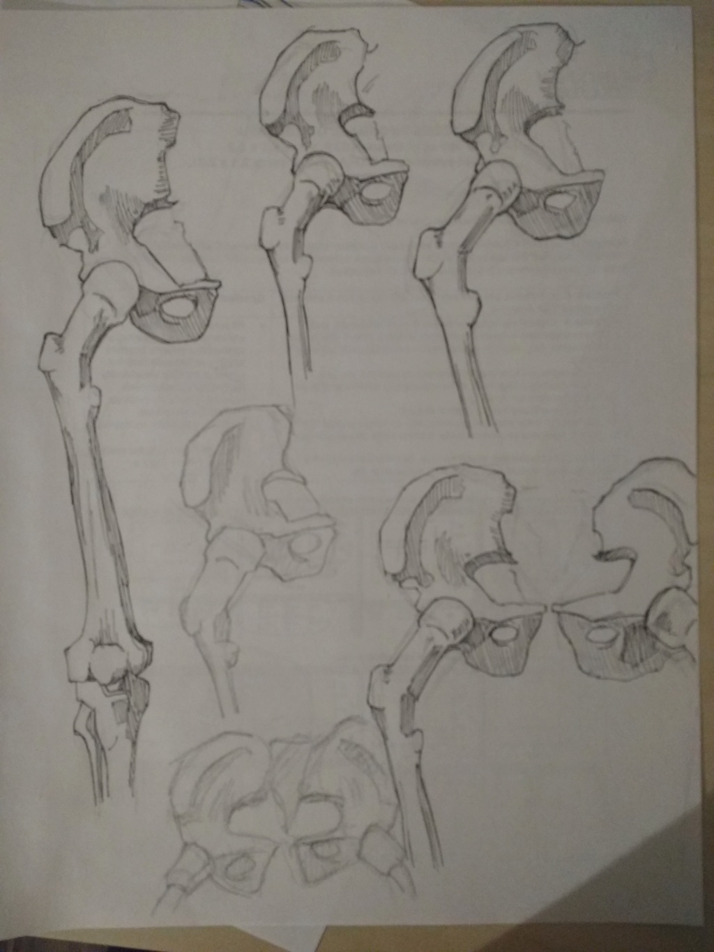 Faimi's Sketchbook Img_2016