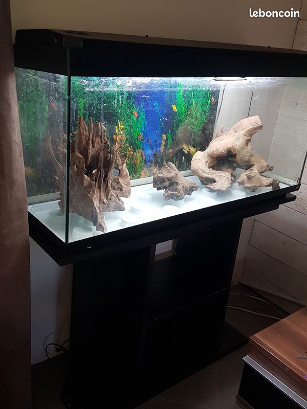 aquarium - [VDS] AQUARIUM 100l + MEUBLE + MATERIEL [95] E5e53f10