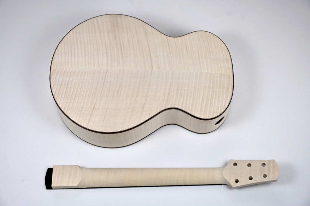 Une B-Compact de Brunner Guitars ? - Page 2 Lbi_1421