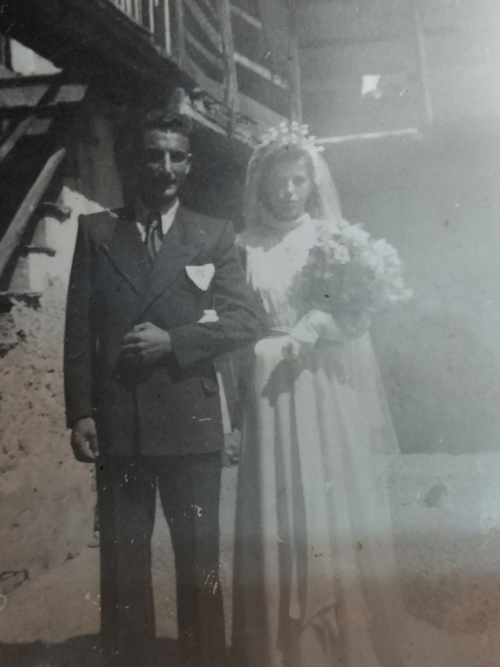 Il guscio della tartaruga Nonno11