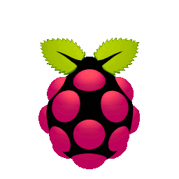 Raspberry Pi OS y Debian Giiif10