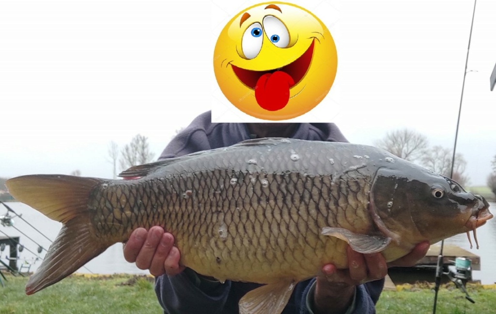 Weekend petit TLD avec diabolo Strelok Pro et pêche Carpe Korze_18