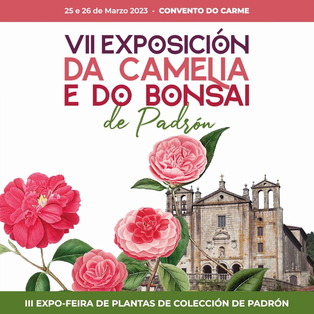 III Expo feria de plantas de colección. (Padrón, Galicia)  33168710