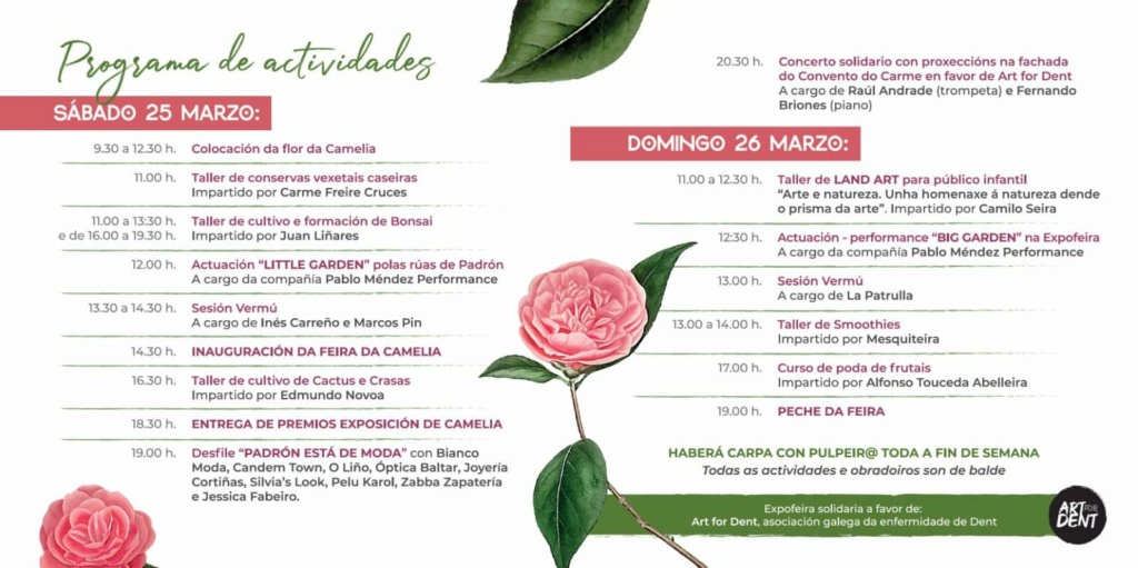 III Expo feria de plantas de colección. (Padrón, Galicia)  33221810
