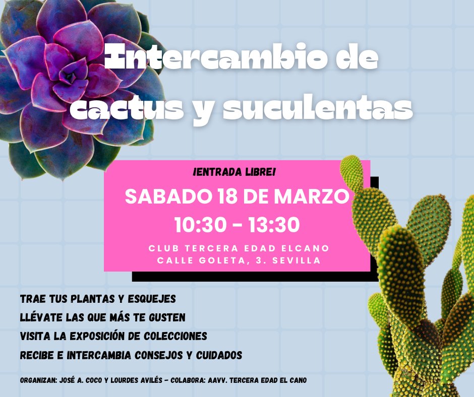 Intercambio de cactus y suculentas ciudad de Sevilla. 33247310