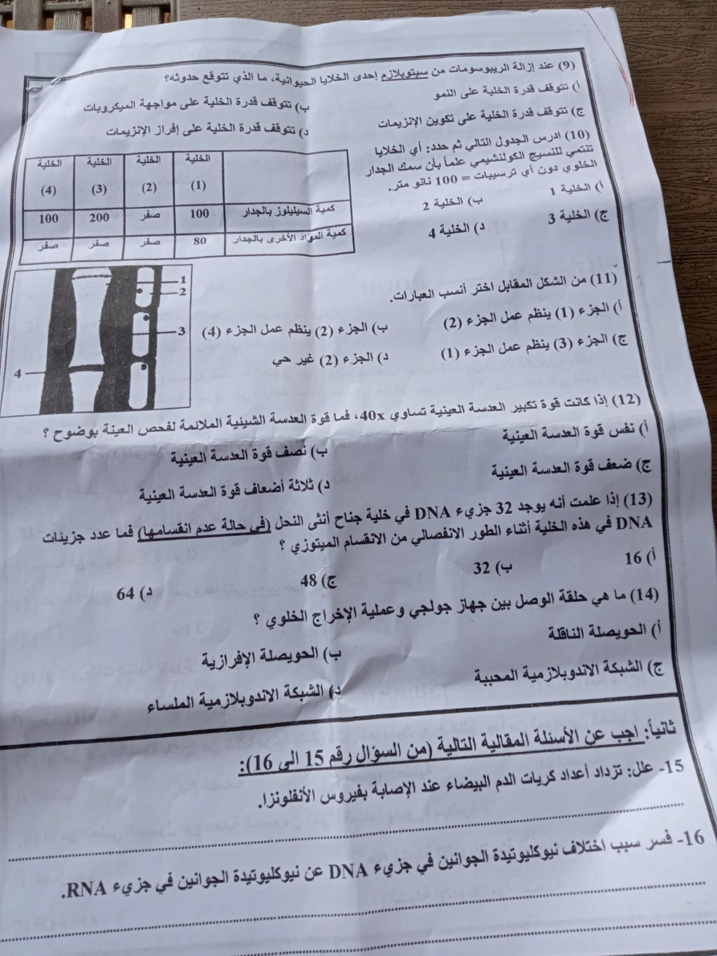 امتحان الاحياء اولى ثانوى 2024 إدارة ناصر - محافظة بنى سويف 2209