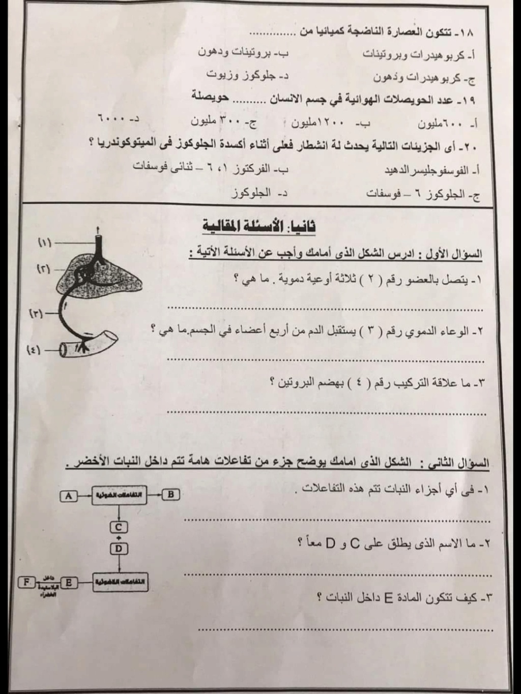 الثانى - امتحان الاحياء للصف الثانى الثانوى 2024 محافظة دمياط 5127