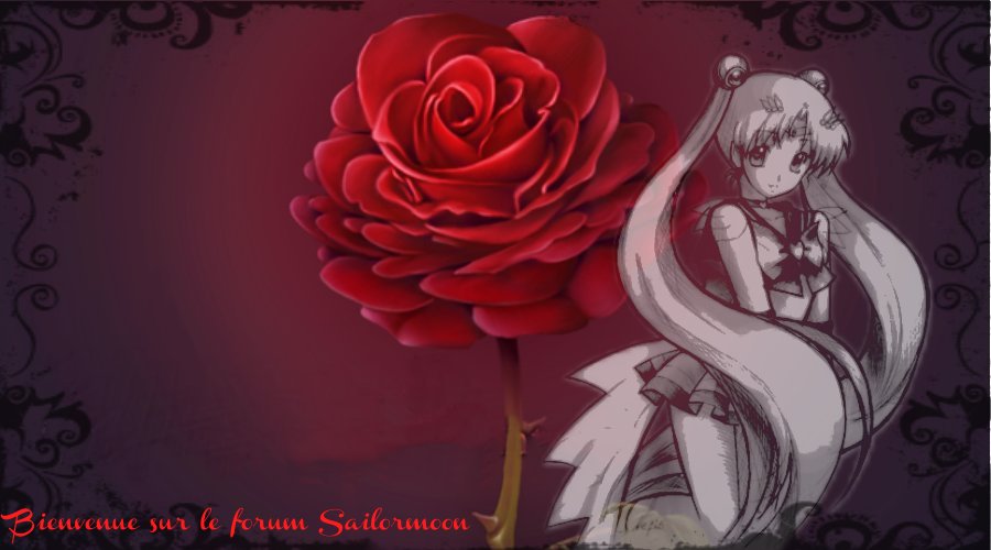 Le Forum Sailor Moon