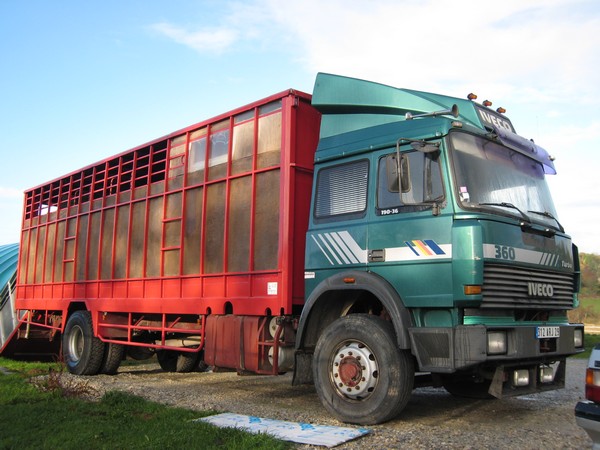 URGENT Camion 7 places + home car Iveco_10