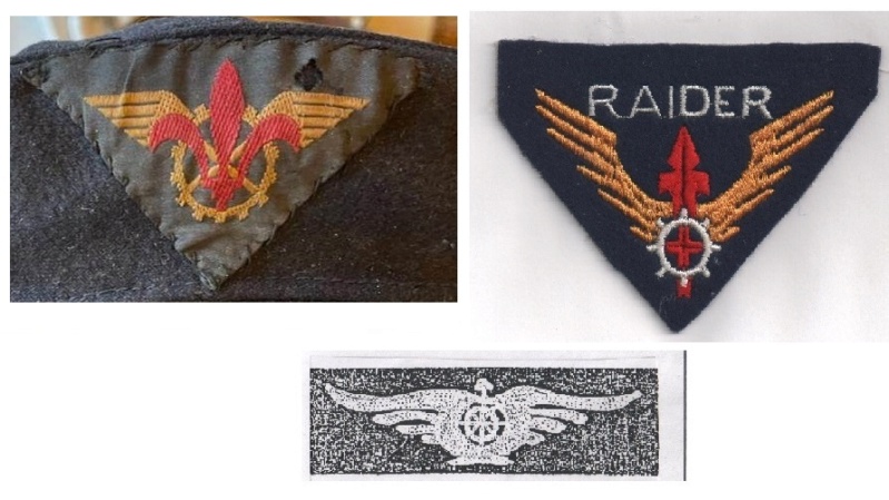 A identifier insignes scouts de l'air - Raider - autre ? Coiffu13