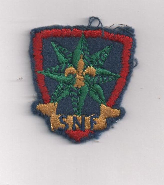 A identifier insignes scouts de l'air - Raider - autre ? Divers10