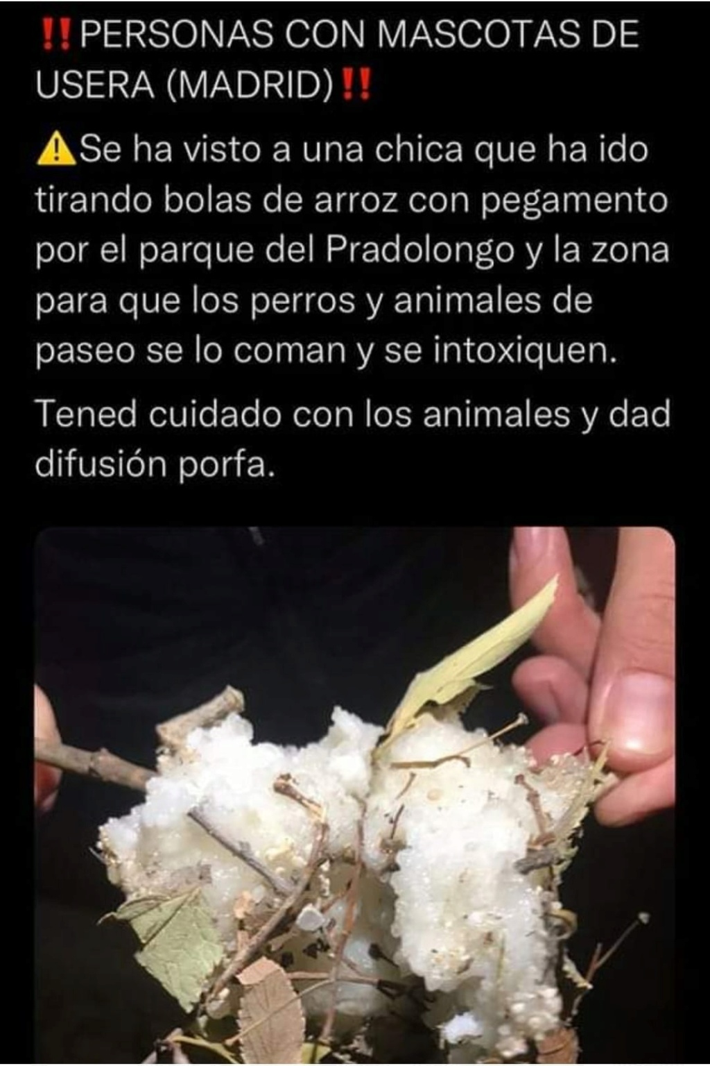 madrid - Cuidado por el barrio de Usera en Madrid, estan poniendo bolas de arroz con pegamento. Pegame10