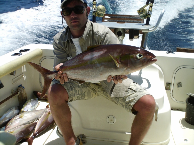 report jigging isola di sal (capo verde) Hpim0713