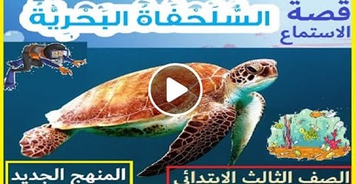 منهج جديد لغة انجليزية قصة الاستماع السلحفاة البحرية "فيديو" 11959310