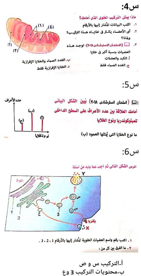 تجميع اختبارات الأحياء  للصف الأول الثانوى ترم أول عربى و لغات2020 99999_11