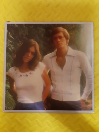 Carpenter - Horizon (Vinyl by A&M and King Record, Japan) Used Whats248