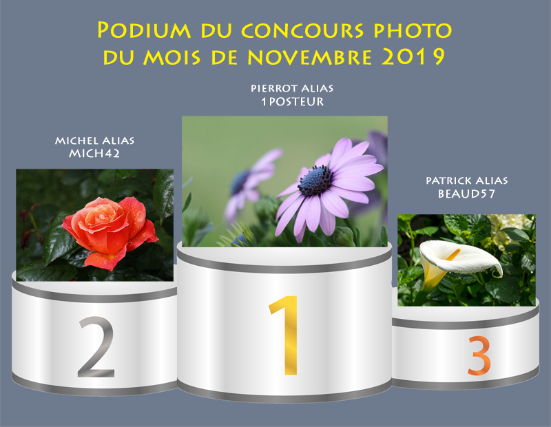 Concours photo du mois de novembre 2019 - Thème : "Une fleur que vous aimez" (terminé) _podiu10