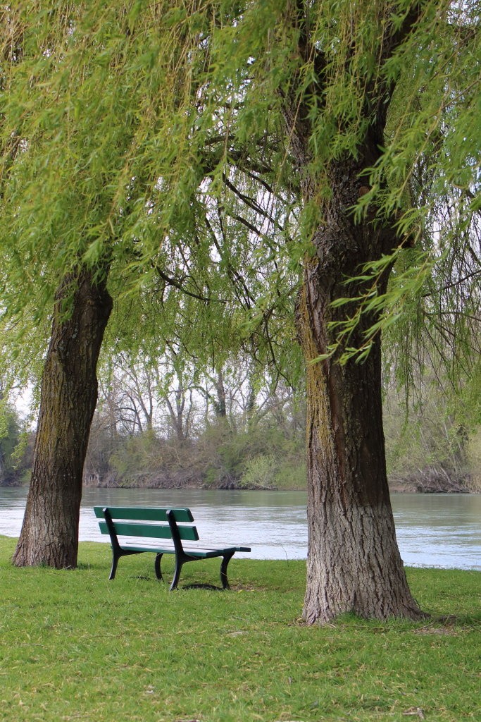 Concours photo du mois de juin 2019 - Thème : "Mettre en valeur un banc" (terminé) Dsc_0050