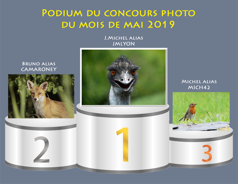 Concours photo du mois de mai 2019 - Thème : "Nos 30 millions d'amis" (terminé) Podium21