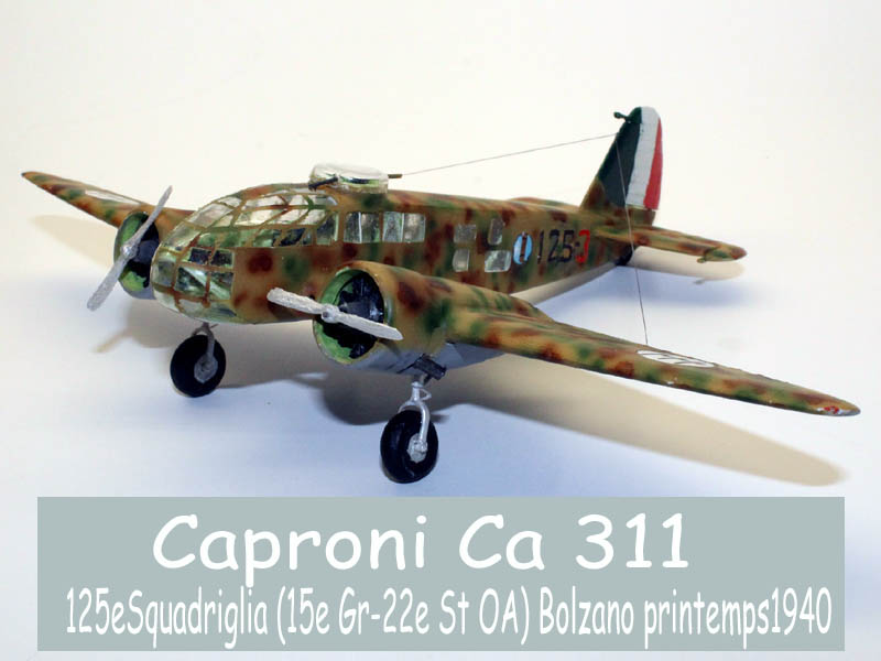 [Bidouille] Caproni Ca311 Et voilà c'est terminé (fini en quelque sorte) - Page 3 C-03316