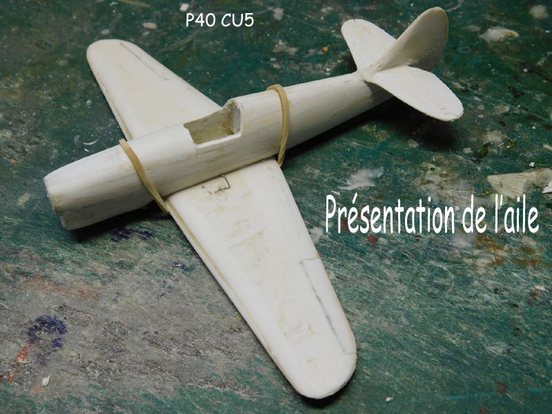 [Bidouille] Curtiss P40 F1 et F5  Fini Cl-00911