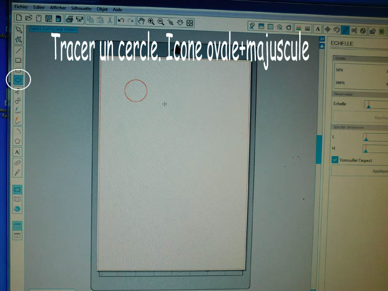 comment fait on des masques pour des cocardes tricolore  Cocard10