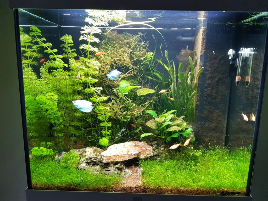 Lido 120 - Planté - Page 3 20190311