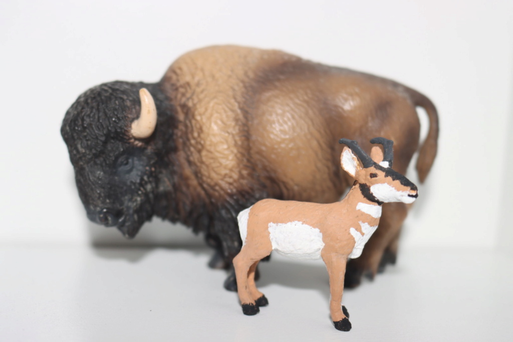 Mini pronghorn antelope repaint  7a182210