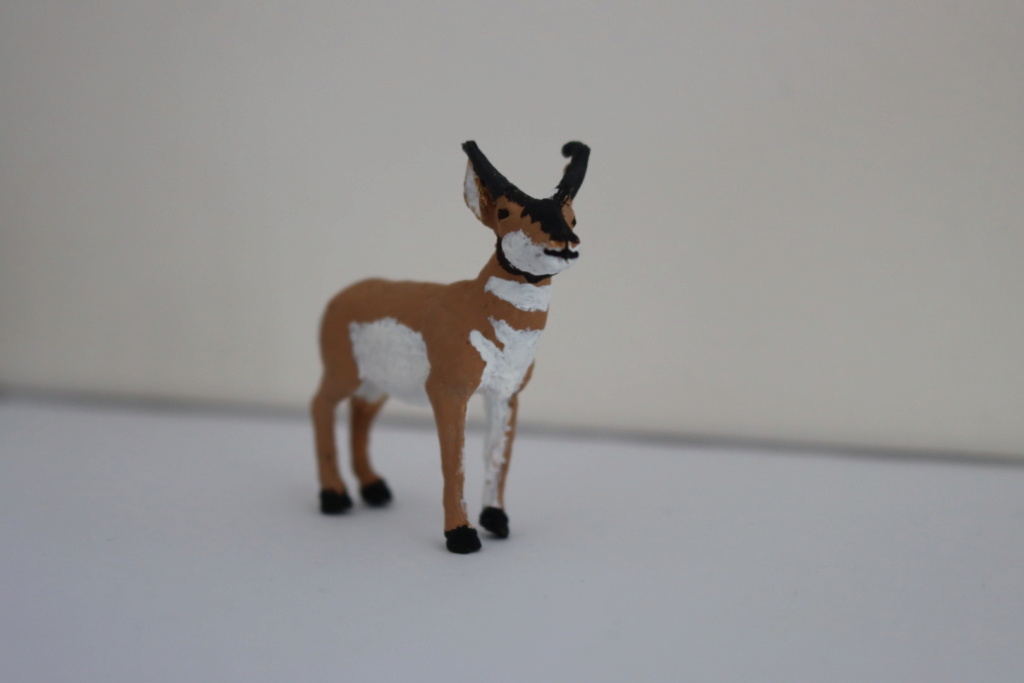 Mini pronghorn antelope repaint  Afbe3c10