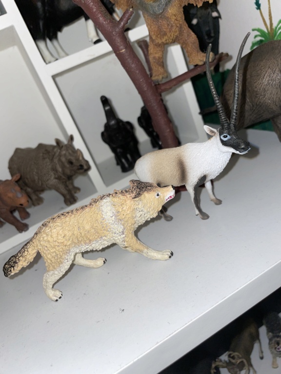Repaint of fake schleich wolf to a Tibetan wolf!! Image10