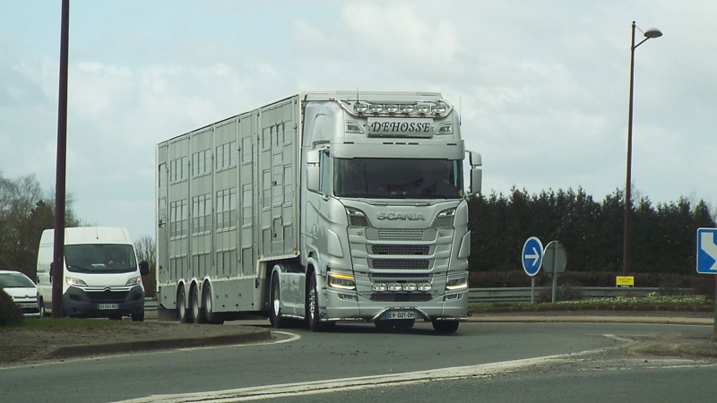 New Scania S - Page 3 Dsc11458