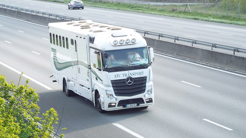 actros mp4 - Page 11 Dsc12622