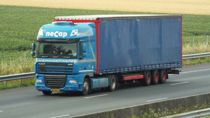 Necap (NL) Dsc12830